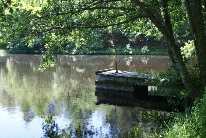 Lake, stocked fishes from organic pisciculture: salmon trout